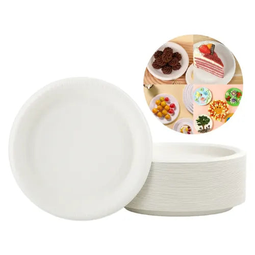 100 Platos Plásticos Desechables Fiesta Cumpleaños 17.5cm