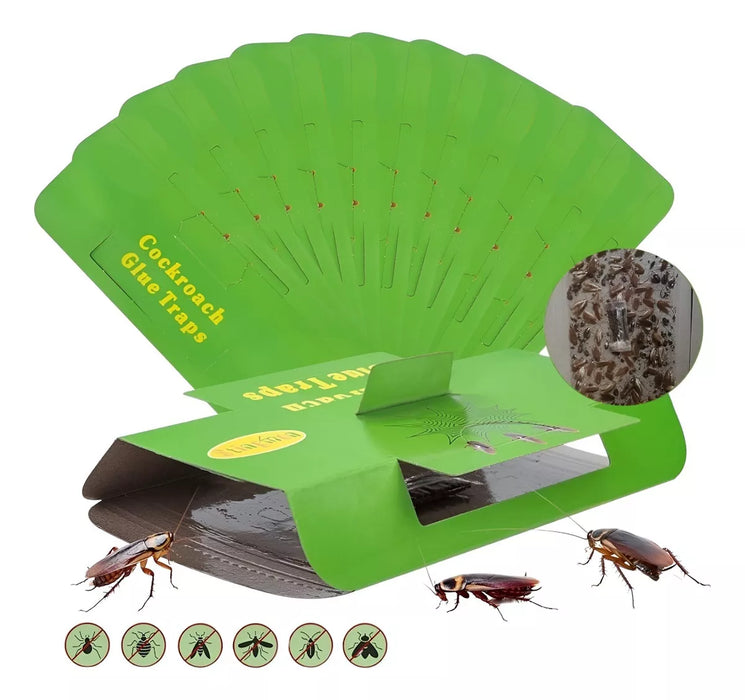 Pack 6 Trampas Adhesivas Polillas Baratas Pegajosas Insectos