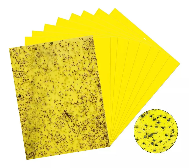 10 Trampa Adhesiva Moscas Papel Atrapa Mosca Insecto Trampa