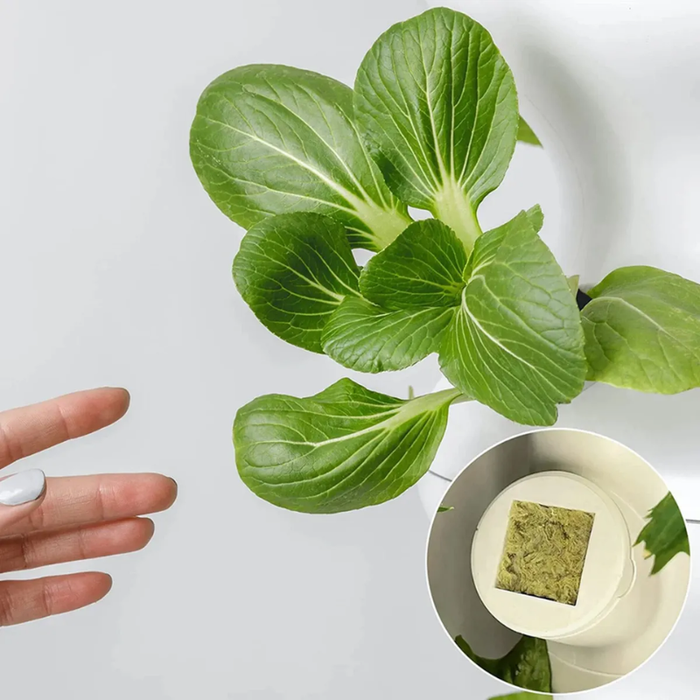 200 Bloques Cultivo Hidroponico Germinar Cubos De Hidroponia