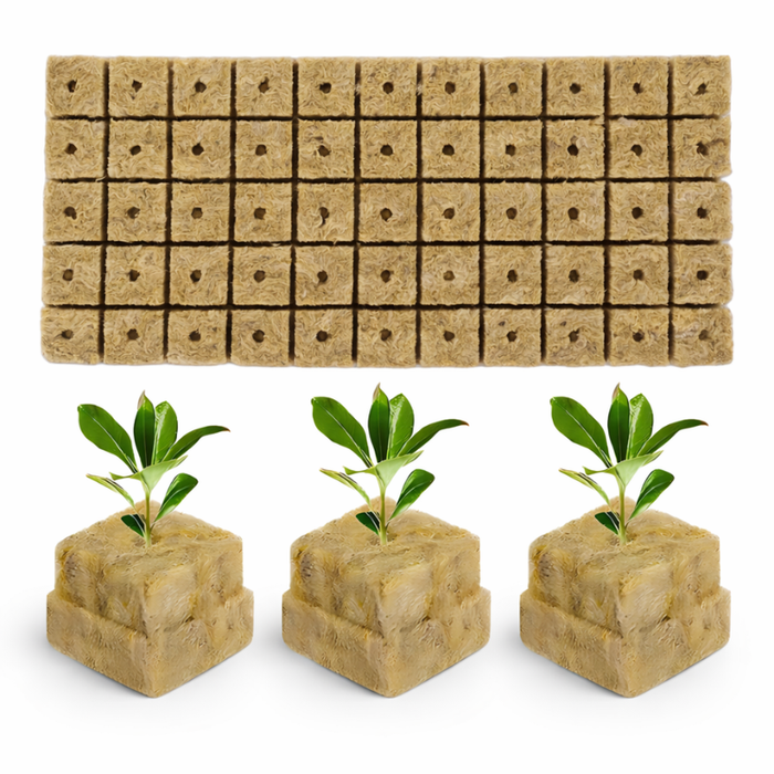 200 Bloques Cultivo Hidroponico Germinar Cubos De Hidroponia