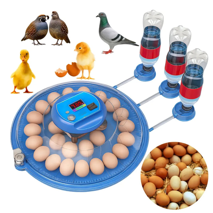 Incubadora Automática Digital Aves 26 Huevos 220v Encubadora