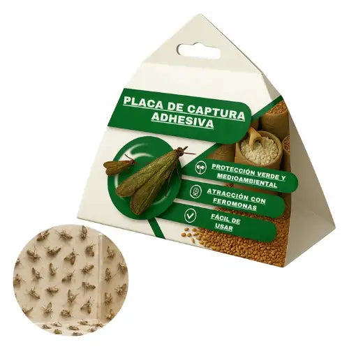 Pack 6 Trampas Adhesivas Polillas Baratas Pegajosas Insectos