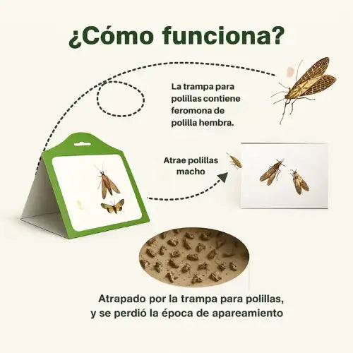 Pack 6 Trampas Adhesivas Polillas Baratas Pegajosas Insectos