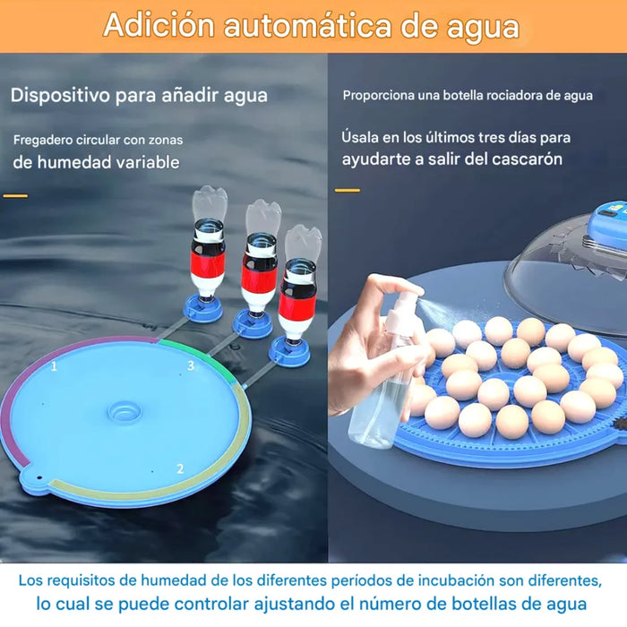 Incubadora Automática Digital Aves 26 Huevos 220v Encubadora