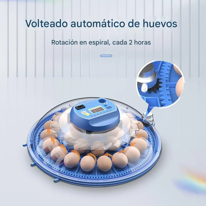 Incubadora Automática Digital Aves 26 Huevos 220v Encubadora