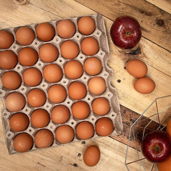 X120 Bandejas Empaque Caja Carton De Huevo Vacias 30 Huevos
