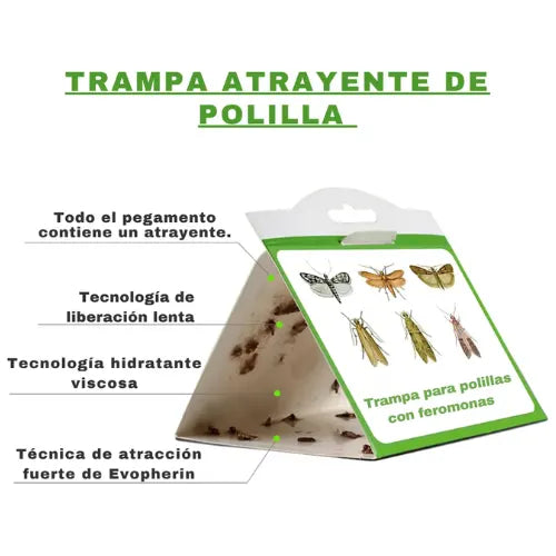 Pack 6 Trampas Adhesivas Polillas Baratas Pegajosas Insectos
