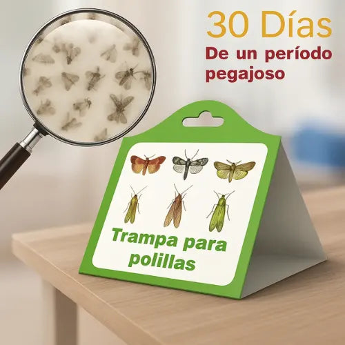 Pack 6 Trampas Adhesivas Polillas Baratas Pegajosas Insectos