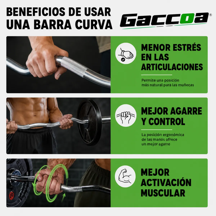 Barra Preolimpica Curl Z 4.2kg Fitness Gym Profesional 120cm