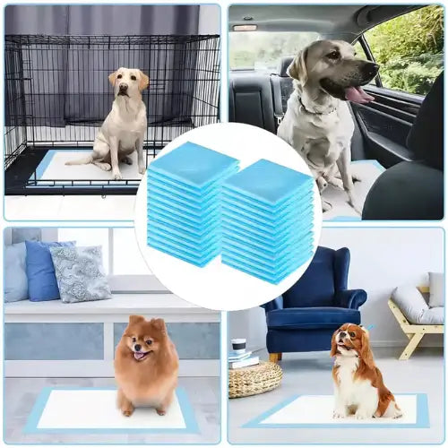 Pack 40 Pañales Tipo Sabanilla Mascotas Perros Gatos 60x60cm