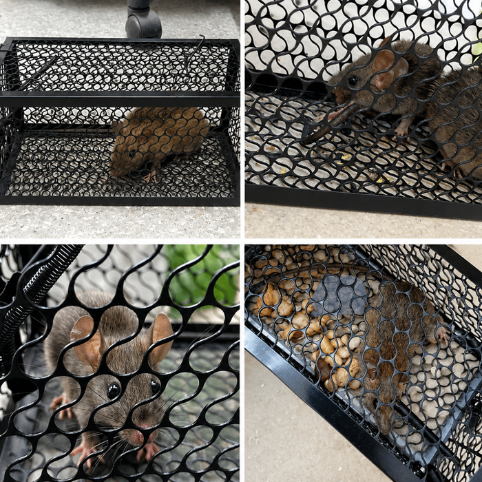 Trampas Ratas Jaula Roedores Captura Luacha Trampa Metalica