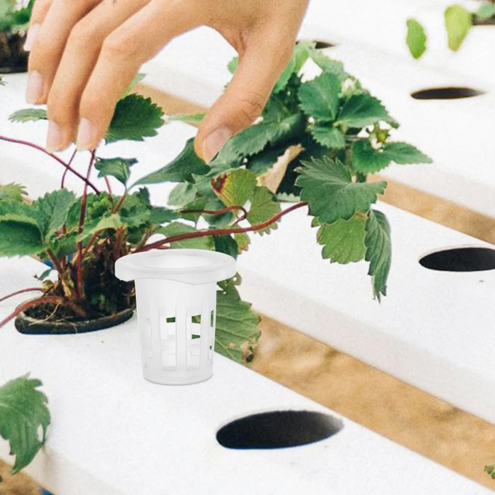100 Vasos Para Cultivo Plastico Hidroponico Malla Hidroponia
