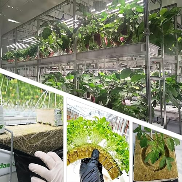 200 Bloques Cultivo Hidroponico Germinar Cubos De Hidroponia