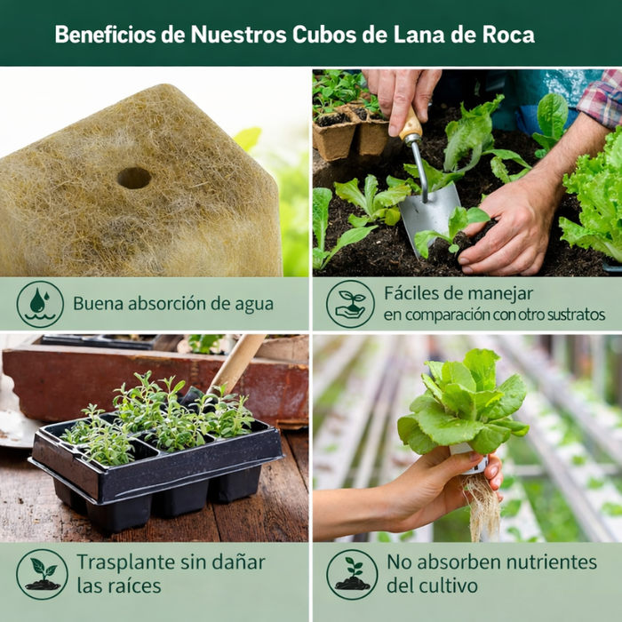 200 Bloques Cultivo Hidroponico Germinar Cubos De Hidroponia