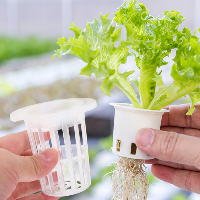 100 Vasos Para Cultivo Plastico Hidroponico Malla Hidroponia