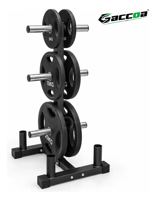 Rack Barras Discos Olímpicos Vertical Gimnasio Profesional