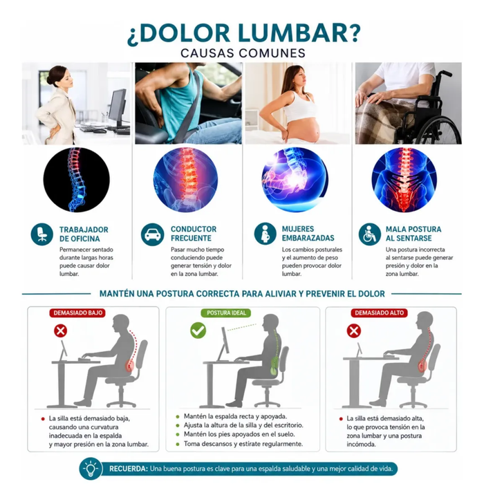 Cojin Soporte Ergonomico Lumbar Ortopedico Oficina Espalda