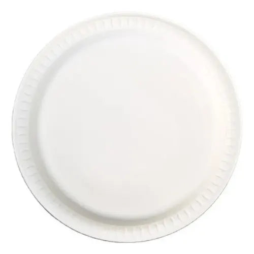 100 Platos Plásticos Desechables Fiesta Cumpleaños 17.5cm