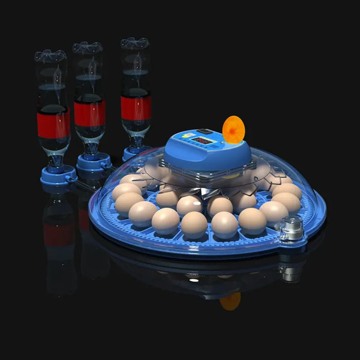 Incubadora Automática Digital Aves 26 Huevos 220v Encubadora