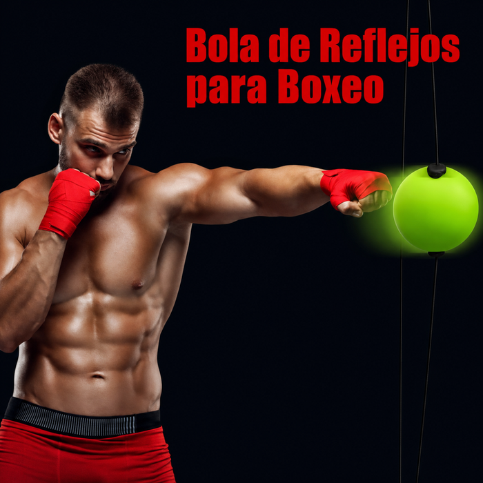 Pelota Entrenamiento Ventosa Para Boxeo Ajustable Reflejos