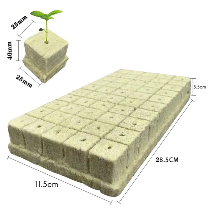 200 Bloques Cultivo Hidroponico Germinar Cubos De Hidroponia