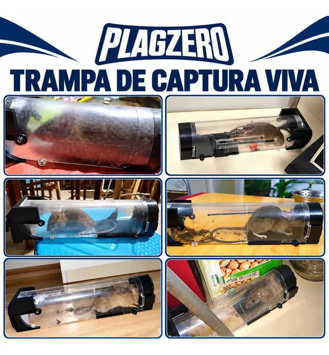 Trampas Rata Jaula Roedores Captura Luacha Trampa Automatica