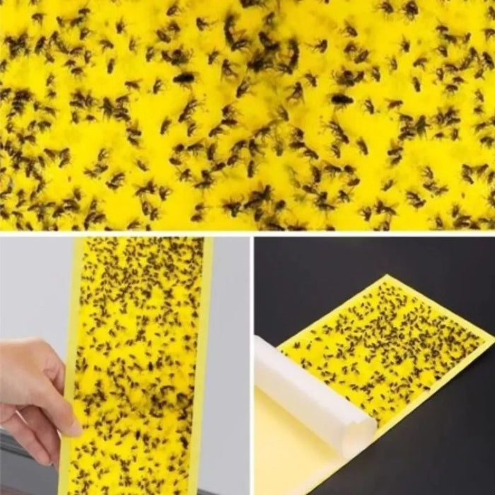 10 Trampa Adhesiva Moscas Papel Atrapa Mosca Insecto Trampa