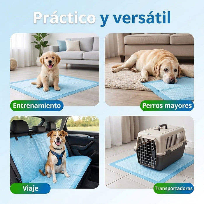 Sabanillas Para Perros Sabanillas Mascota Pañales
