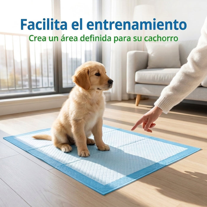 Sabanillas Para Perros Sabanillas Mascota Pañales